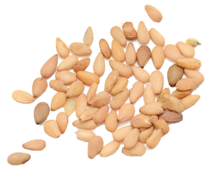 sesame